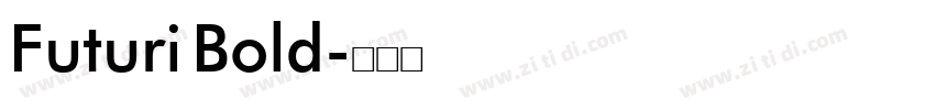 Futuri Bold字体转换
